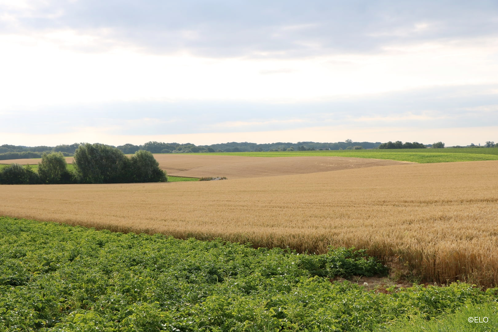 Paysage avec vue sur les champs agricoles