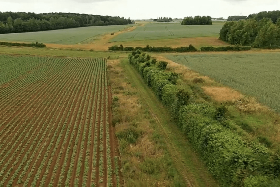 Agriland Belgique - Ensemble, donnons de la valeur à vos terres agricoles